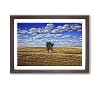 Landscape South Dakota Lone Tree USA Framed Print | A2 Walnut Framed Wall Art | Ready to Hang | Modern Flag Picture | Living Room Bedroom Lounge Office