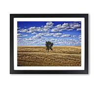 Landscape South Dakota Lone Tree USA Modern Framed Print | A3 Black Framed Wall Art | Ready to Hang | Modern Flag Picture | Living Room Bedroom Lounge Office