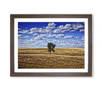 Landscape South Dakota Lone Tree USA Modern Framed Print | A3 Walnut Framed Wall Art | Ready to Hang | Modern Flag Picture | Living Room Bedroom Lounge Office