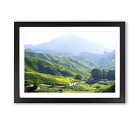Landscape Tea Plantation Kuala Lumpur Malaysia Framed Print | A2 Black Framed Wall Art | Ready to Hang | Modern Food Picture | Living Room Bedroom Lounge Office