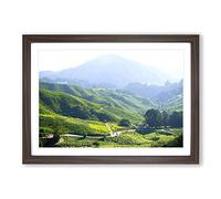 Landscape Tea Plantation Kuala Lumpur Malaysia Framed Print | A2 Walnut Framed Wall Art | Ready to Hang | Modern Food Picture | Living Room Bedroom Lounge Office
