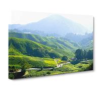 Landscape Tea Plantation Kuala Lumpur Malaysia Modern Canvas Wall Art Print Ready to Hang, Framed Picture for Living Room Bedroom Home Office Décor, 30x20 Inch (76x50 cm)