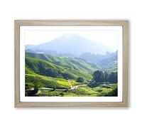 Landscape Tea Plantation Kuala Lumpur Malaysia Modern Framed Print | A2 Oak Framed Wall Art | Ready to Hang | Modern Food Picture | Living Room Bedroom Lounge Office