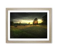 Landscape Tree and Hay Bales Modern Framed Print | A3 Oak Framed Wall Art | Ready to Hang | Modern Floral Picture | Living Room Bedroom Lounge Office