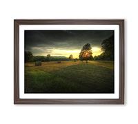 Landscape Tree and Hay Bales Modern Framed Print | A3 Walnut Framed Wall Art | Ready to Hang | Modern Floral Picture | Living Room Bedroom Lounge Office