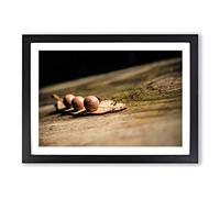 Landscape Tree Stump Framed Print | A2 Black Framed Wall Art | Ready to Hang | Modern Floral Picture | Living Room Bedroom Lounge Office