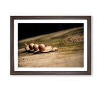 Landscape Tree Stump Framed Print | A2 Walnut Framed Wall Art | Ready to Hang | Modern Floral Picture | Living Room Bedroom Lounge Office