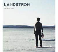 Landstrom - What We Saw [VINYL]