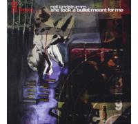 Landstrumm, Neil - She Took a Bullet Meant for Me