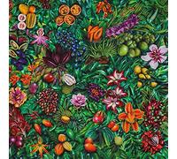 Laneri, Roberto - South of No Border [VINYL]