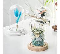 Laneryin Glass Dome Cloche Bell Jar with Wooden Base Hand model base (including packaging) 7*12 glass cover + wood base Clear Decorative Tabletop Display Case