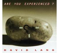 Lang - David Lang: Are You Experienced?