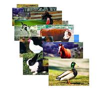 Stages Learning Materials Farm Animal Posters Real Photo Classroom Decorations for Preschool Bulletin Boards & Circle Time 10 Large Picture Cards, Size 10/Large (SLM152)