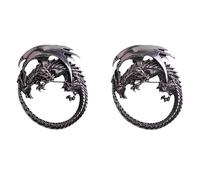 LANGHONG 2PCS Retro Norse Viking Brooch For Women Dragon Brooch Talisman Jewelry, Gift For Men (2, DRL3)