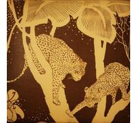 Langhorne Slim - Langhorne Slim