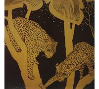 Langhorne Slim - Langhorne Slim [VINYL]