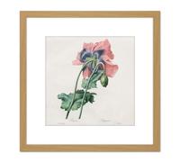 Langlois After Pierre Joseph Redoute Poppy 8X8 Inch Square Wooden Framed Wall Art Print Picture with Mount Artery8 Light Oak One Size