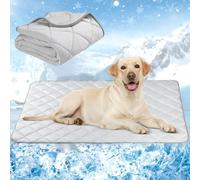 Langsprit Dog Cooling Mat, Washable Dogs Cats Pet Non-Toxic Cooling Pads Summer Sleeping Kennel Mats，Pet Self Cool Ice Blanket for Indoor & Outdoor Dog Beach Essentials Light Gray X-Large