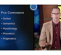 Language as a System