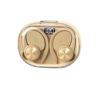 Language Translation Earbuds - Wireless Earpiece, Smart Headset | Real Time Audio Converter with Study Travel Work, Instant Communication Tool for Tourists Business Meetings Speaking Aid