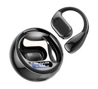 Language Translator Earbuds, AI Real Time Translation Headphones, Instant Voice Interpreter Earphones with Noise Reduction, Portable Wireless Headset for Outdoor Travel Business Communication