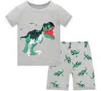 Langubaby Boys Pyjamas Shorts Set Dinosaur Shark Astronaut Cotton Sleepwear Short Sleeve Summer Pjs for Kids 2-3 Years