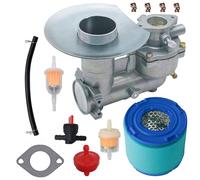 Lanigram 392587 391065 Carburetor Fit for Briggs Stratton 391074 391992 220400 254400 252417 243431 170402 190432 Carb
