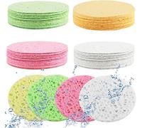 Lanjue 60 Count Compressed Facial Sponges, 2.5 Inch Wash Sponge, 4 Colours