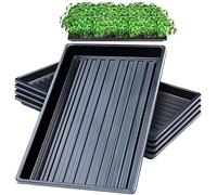 LANPEW Pack of 10 Propagation Trays without Drainage Holes 50 x 25 cm Perfect Garden Seed Propagation Trays for Seedlings Gardening Indoor Micro Green Wheat Grass Hydroponics (Black 10 Pack)