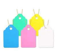LANSEYQO Plant Labels 500pcs Waterproof Tags with String, Plastic Reusable Hanging Marking Tags for Gardening Jewelry Clothing (5 Colors/4.53cm)