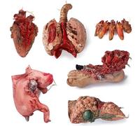 Lansian Scary Halloween Party Decorations, Realistic Haunted House Decor, Zombie Vampire Crime Scene Bloody Decorations, Creepy Carnival Props Bloody Props, 6Pcs Fake Dead Body Parts Fingers