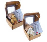 Lanstorm 2 Pcs Worry Bear Hug in a Box, A Little Pocket Bear Hug, Mini Plush Teddy Bears with Inspirational Card, Fun Stuffed Worry Bears with hats, Positive Gifts for Children Women Men Lover Friend