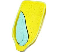 Lant Anatomical Anatomy Model, Corn Grain Seed Coat Endosperm Model, Internal and External Structure in Corn Grain Model, for Biology Science Teaching Research.