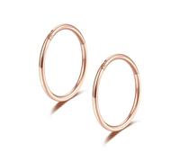 Lantine Rose Gold 18G 10mm Nose Rings Hoop G23 Titanium Hinged Segment Septum Rings Seamless Clicker Sleeper Daith Tragus Helix Cartilage Piercing Hoop Earrings