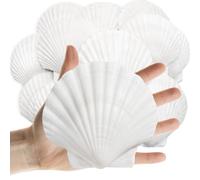 Lanwexy 20PCS Sea Shells Scallop Shells Natural White Sea Shells for DIY Craft Crafting,Painting,Baking,Home Decor and Beaching Wedding Decoration (10-12CM) Seashells Bulk