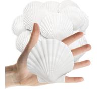 Lanwexy 25PCS Sea Shells Scallop Shells Natural White Sea Shells for DIY Craft Crafting,Painting,Baking,Home Decor and Beaching Wedding Decoration (6-8CM) Seashells Bulk