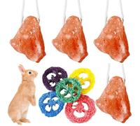 Lanxitown 4 Pcs Rabbit Salt Lick and 5 Pcs Loofah Rabbit Chew Toys Himalayan Salt Block Natural Small Animal Mineral Salt with Rope Hamster Chew Toys Bunny Toys (A)