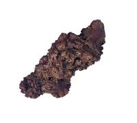 Lanxitown Coprolite Authentic Prehistoric Natural Fossilized Mineral Dung Stone Specimen Length 2-4" Dinosaur Coprolite Feces Trace Fossil (Information Card Included)