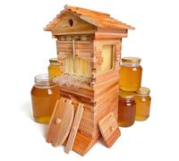 LaoSShu Flow Hive Style Beekeeping Starter Kit, Wooden Beehive with 4 Automatic Honey Frames & 6 Brood Frames, Clear Observation Window & Easy-Release Honey Spout, Perfect for Backyard Honey Harvest