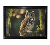 Lap Tray Owl Theme Bean Bag Cushioned LapTray Breakfast Bed tray Padded Tray Portable Bean Bag Tray for Eating Work Caravan Camping Home Comfort