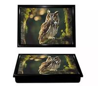 Lap Tray Owl Theme With Bean Bag Cushion, Breakfast Dinner Food Drink Serving, Easy to carry Lightweight, Art, Drawing, Writing, Study, TV, Laptop Browsing, Sofa, Bed Serving