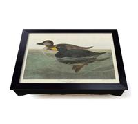 Lap Tray with Bean Bag Cushion, American Scooter Duck by John James Audubon