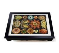 Lap Tray with Bean Bag Cushion, Ascidian Sea Squirts by Ernst Haeckel | Raised Wooden Edge, Padded Cushion, Heat-Resistant Wipe-Clean Surface, for Meals, Laptops and Crafts