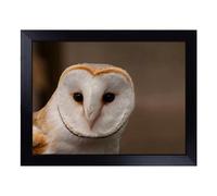 Lap Tray with Bean Bag Cushion, Barn Owl 2