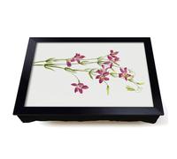Lap Tray with Bean Bag Cushion, Centaurium by Mary Vaux Walcott