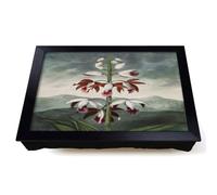 Lap Tray with Bean Bag Cushion, Chinese Limodoron Plant by Robert John