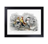 Lap Tray with Bean Bag Cushion, Cocks & Hens By Oliver Goldsmith