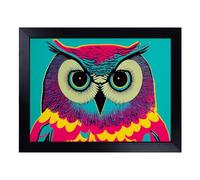 Lap Tray with Bean Bag Cushion, Colourful Owl Art