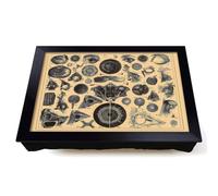 Lap Tray with Bean Bag Cushion, Encyclopedia Human Biology Eyes