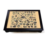 Lap Tray with Bean Bag Cushion, Encyclopedia Shells
